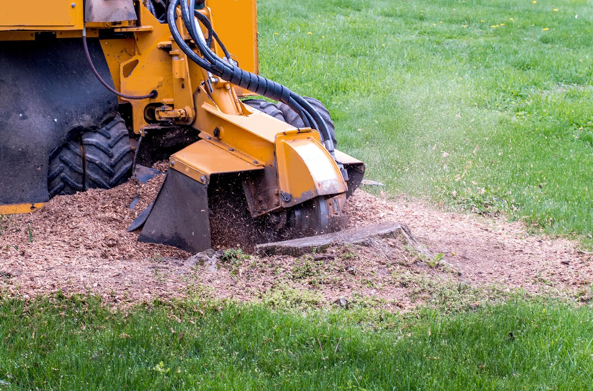 treedog-atlanta-services-hero-stump-grinding-2880w