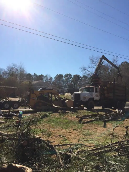 TreeDog Atlanta arborist crew with bucket truck on a residential project